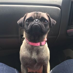 Meet your Posher, Rhonda